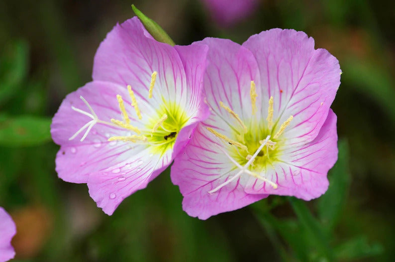 19526126-77c9-43bf-b11e-6feb29de5382