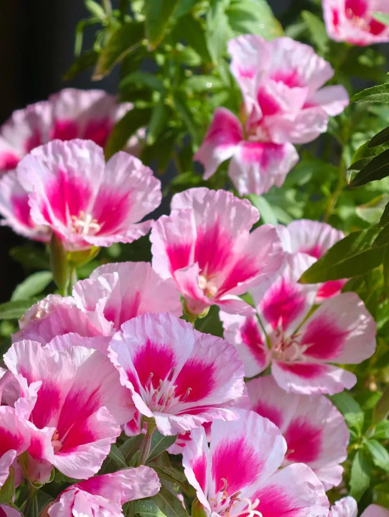 4a7aee04-2918-4771-b9a3-0a20ff7e402f