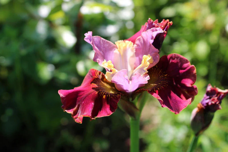 549579ef-cc5e-4b9f-abf2-69601d1542e0