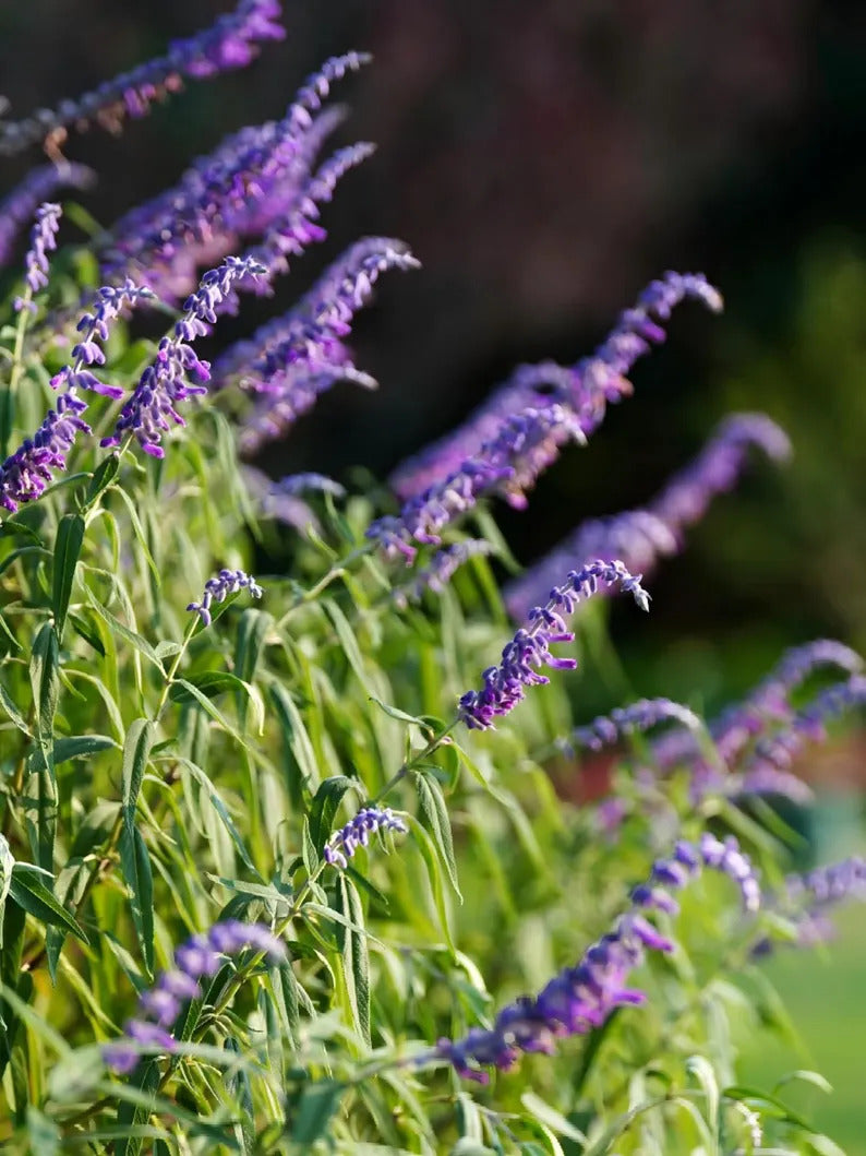 0619e216-29dc-4d64-8baa-285926426528