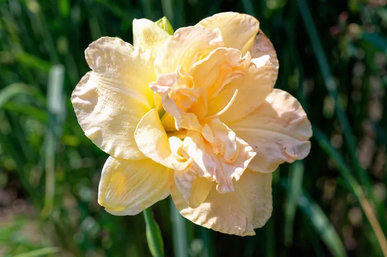 77e36512-c1de-4b17-9dab-6965f32a133d