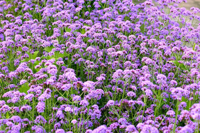 afb9dfb2-f058-4f29-8307-1304c8f24e00