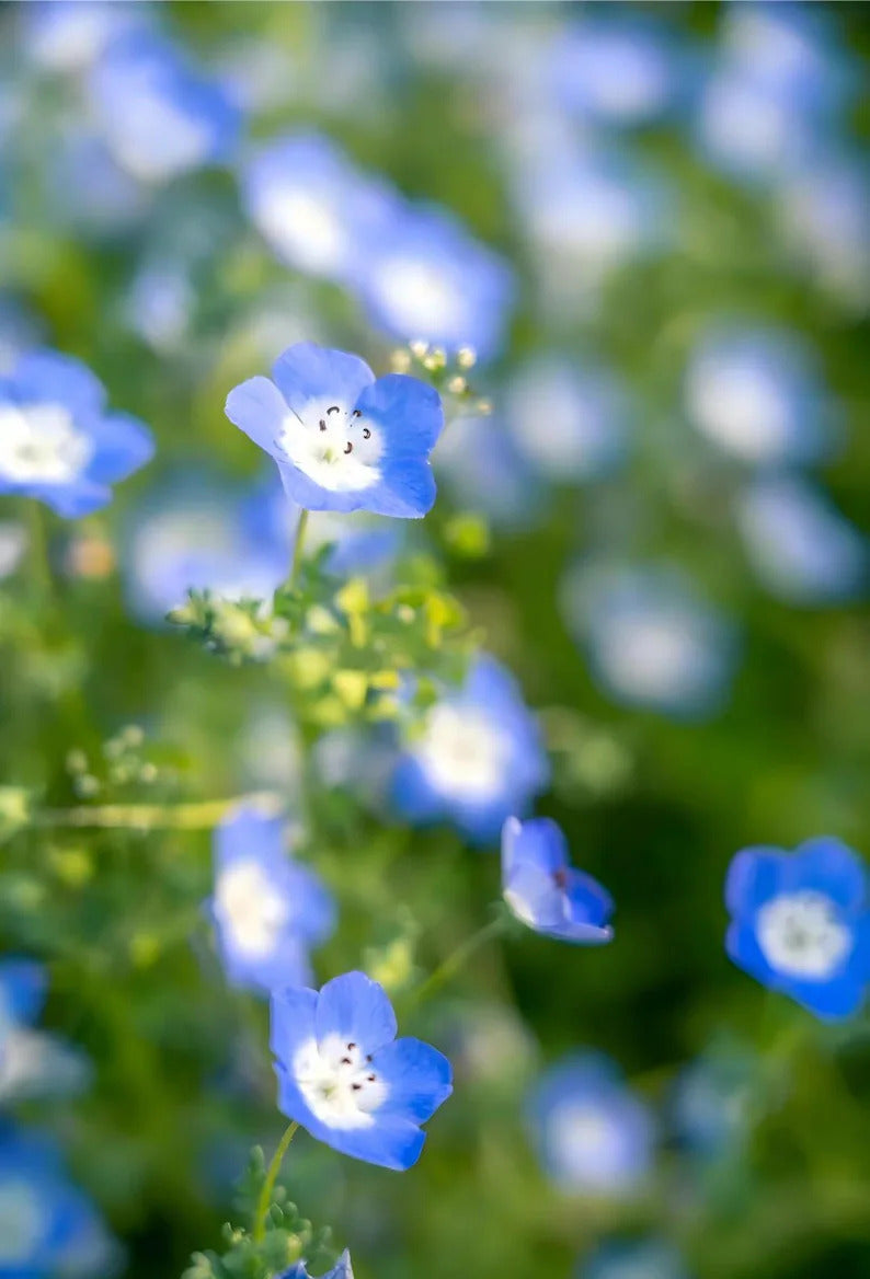 9382bf41-a767-4df0-9677-3dc963cbf1db