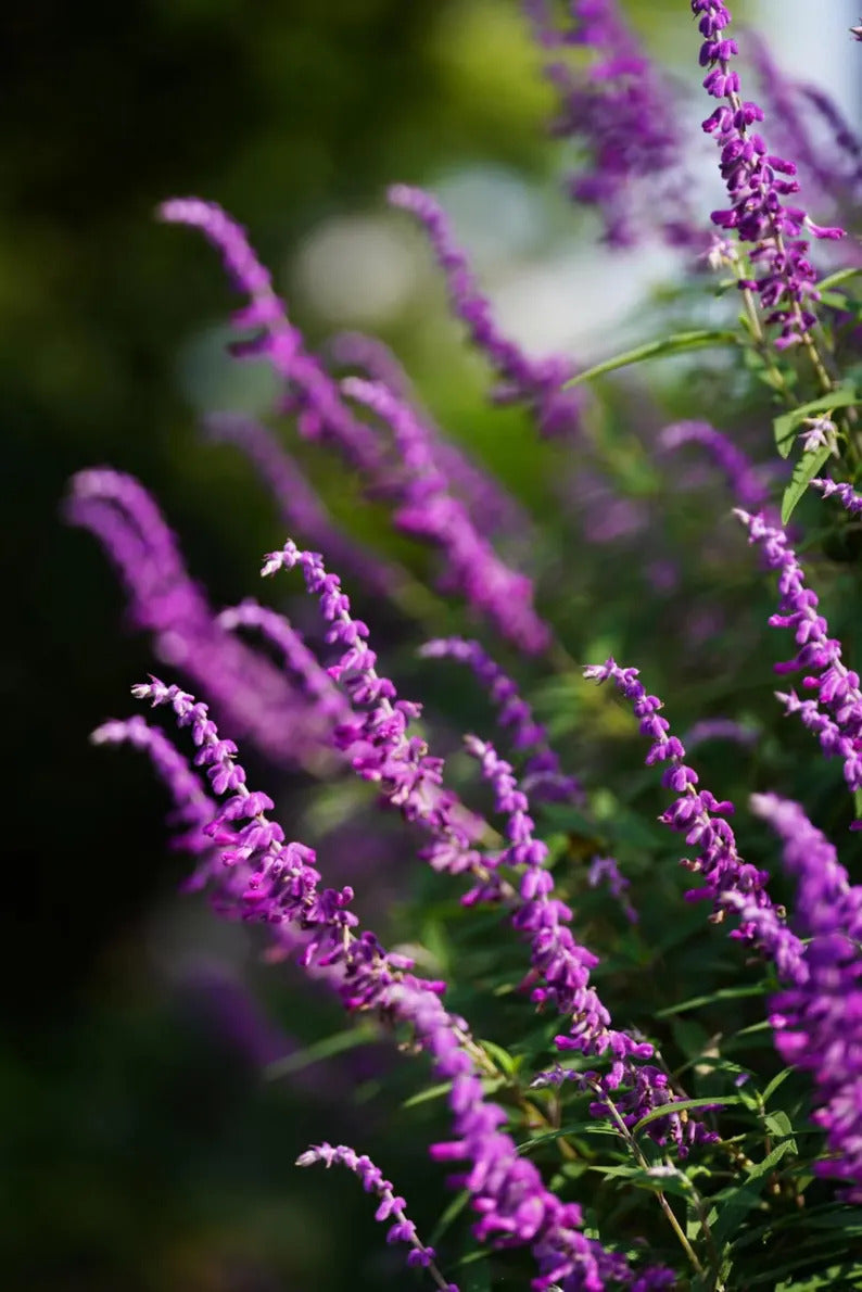 aaa8925d-d8ff-457f-b77a-423f0a68d9ca