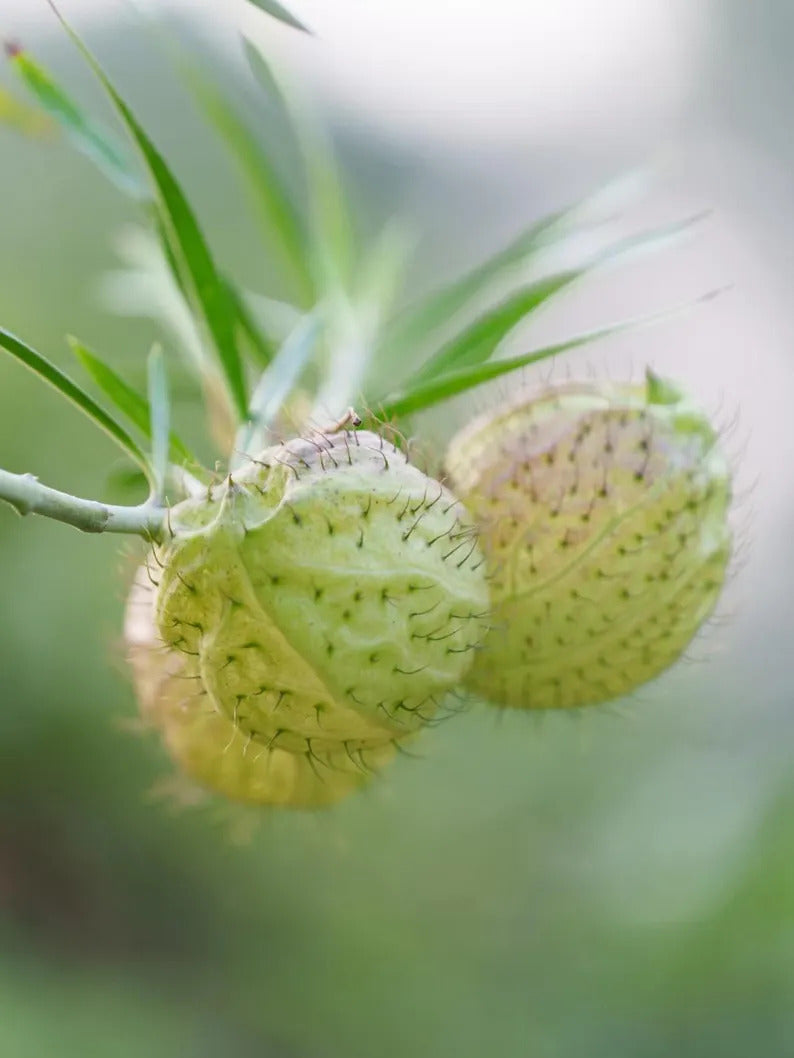 b27df7d8-f678-4145-8b21-237ff928ab17