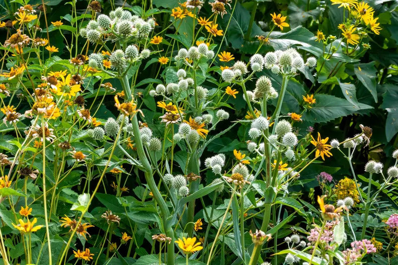 d5b9b73c-2177-4d6d-9993-6528e18293ee