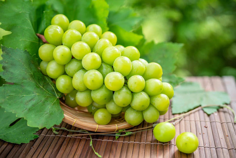 063f7673-bb3c-4a21-a984-b55d3f8378dc