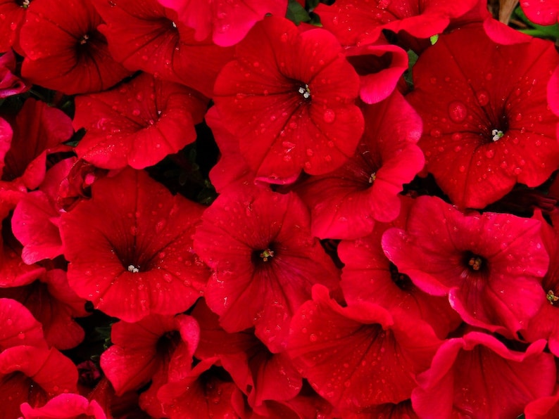 fda23942-fa2d-4340-b6e9-dfe5200bd63c