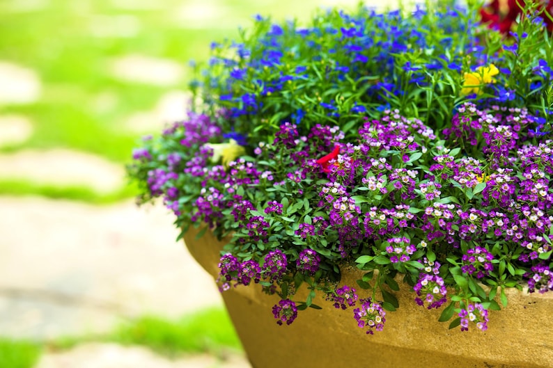 9dab947c-0c35-47a8-9007-5b98bd72b077