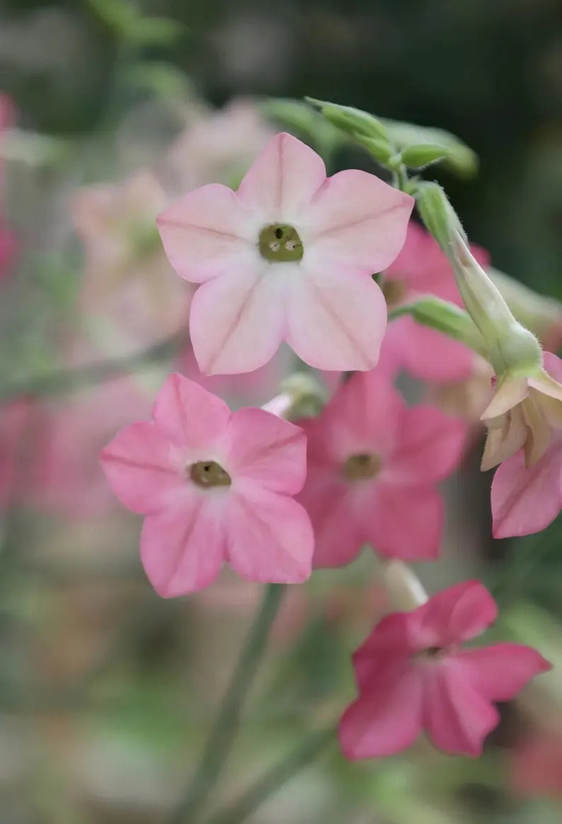 3a127fc8-5e6a-46ec-b153-d72e0cccced3