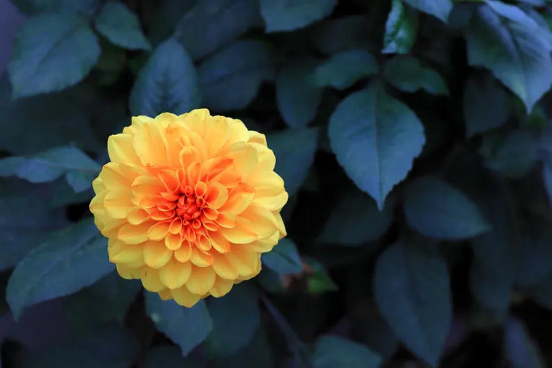 09bda806-b2b0-4679-899f-1010d2136358