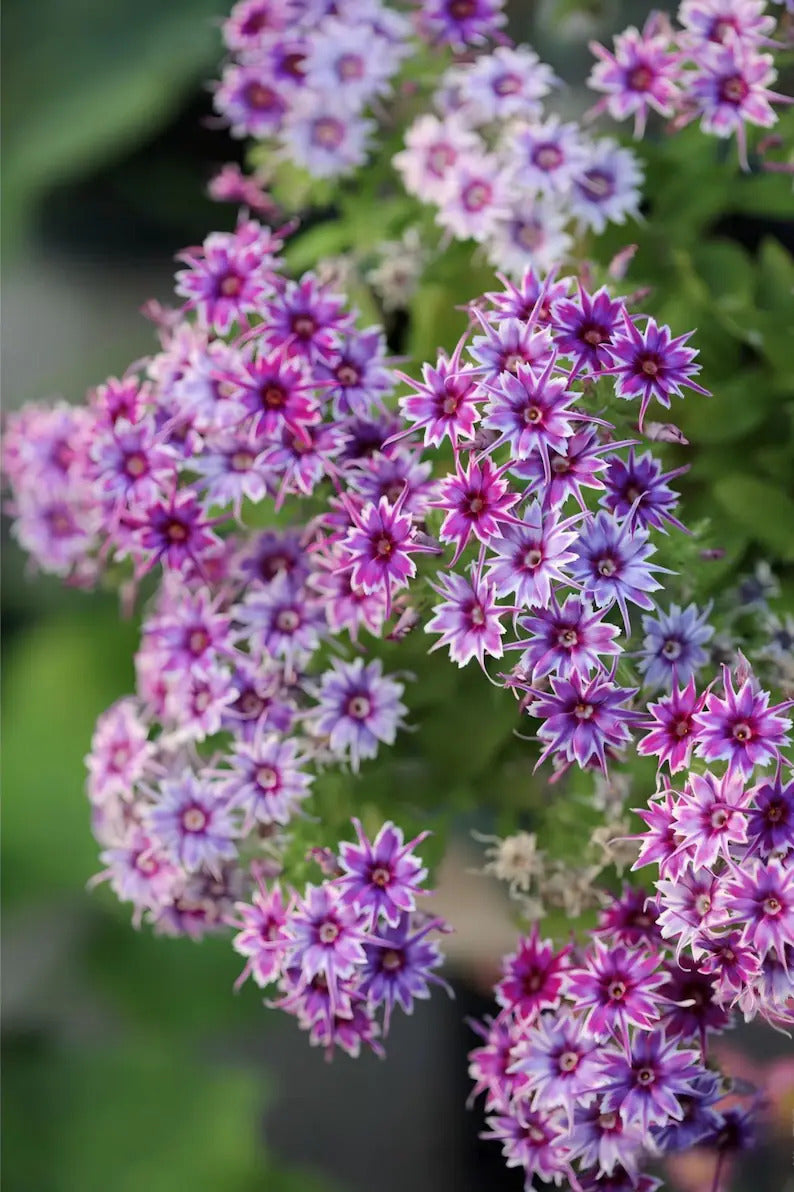 d219488a-4bc2-4a31-80a4-83ee75e22722