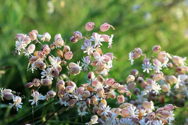 16955b39-606c-43a1-b02d-5933f87b40e1