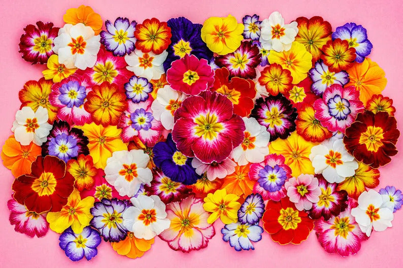 b78f9926-f095-476e-8193-dc4f93aec7c2