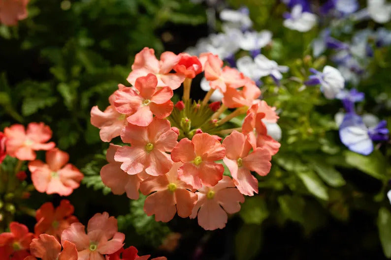 3c136d6f-2097-4d94-a63e-adc1e15ebbdf