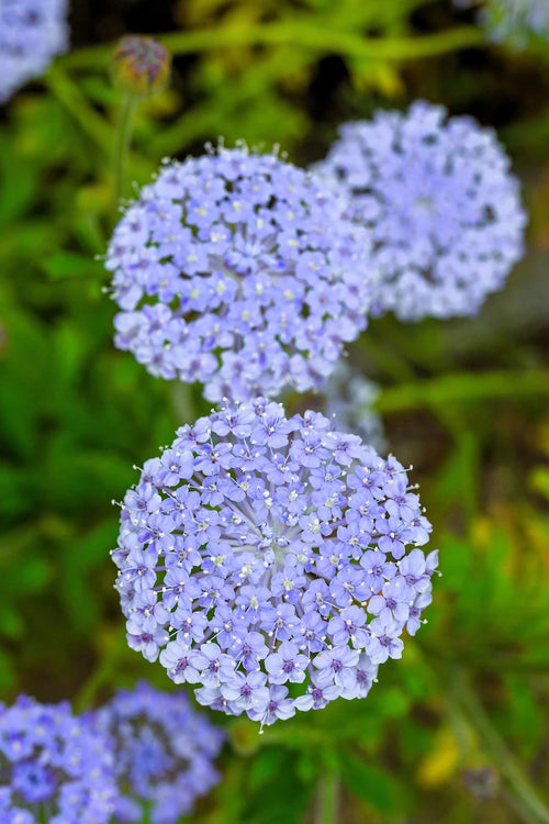 af3a4466-9d72-477a-ab41-6c0a66b57887