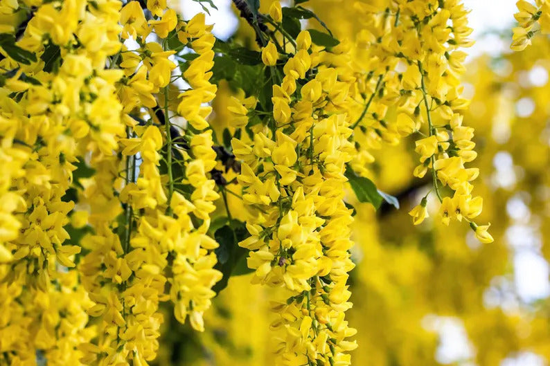 34bda211-6c50-40b1-b0f6-28251ace86f0