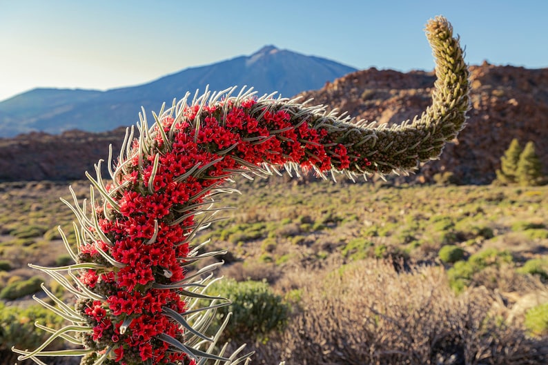 cbe10ff9-34f0-4230-aa98-5d4a5b2981a6