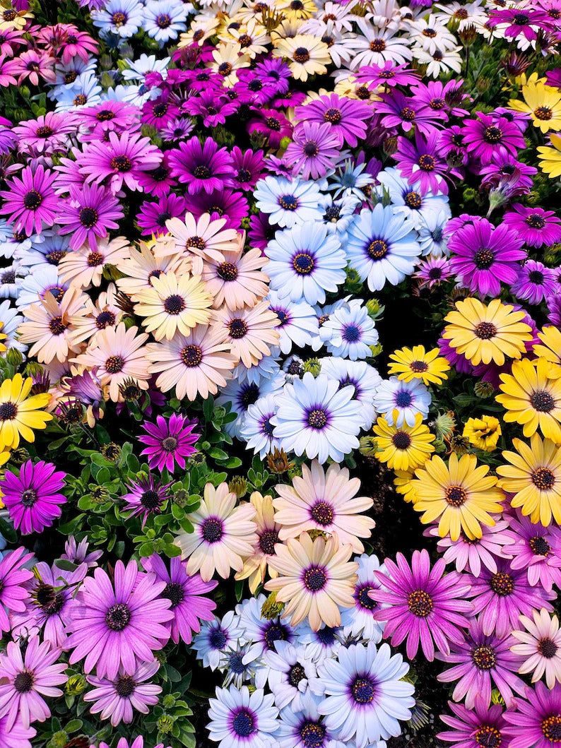 75fb6f41-3eb9-4168-a84c-8e093e31293a