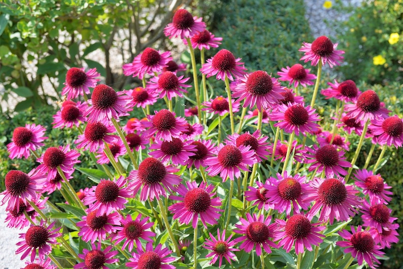 fd0e1fa7-a4f0-4423-9e04-70a3a79a5dbe