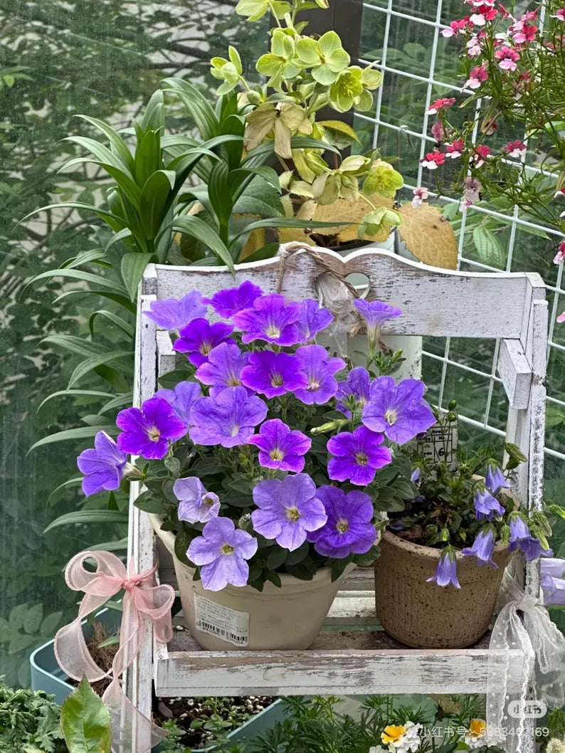 76557177-10ea-48c1-86c0-f9dad48bf107