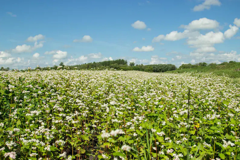 eb1b9af9-2ec8-4cd4-9934-1c4149762066