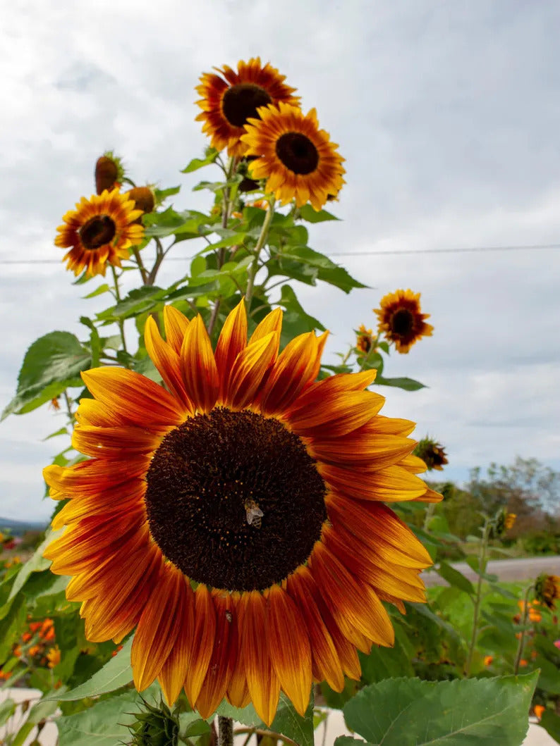 71427b22-bd3b-4fdb-be26-6f1aefff84ac