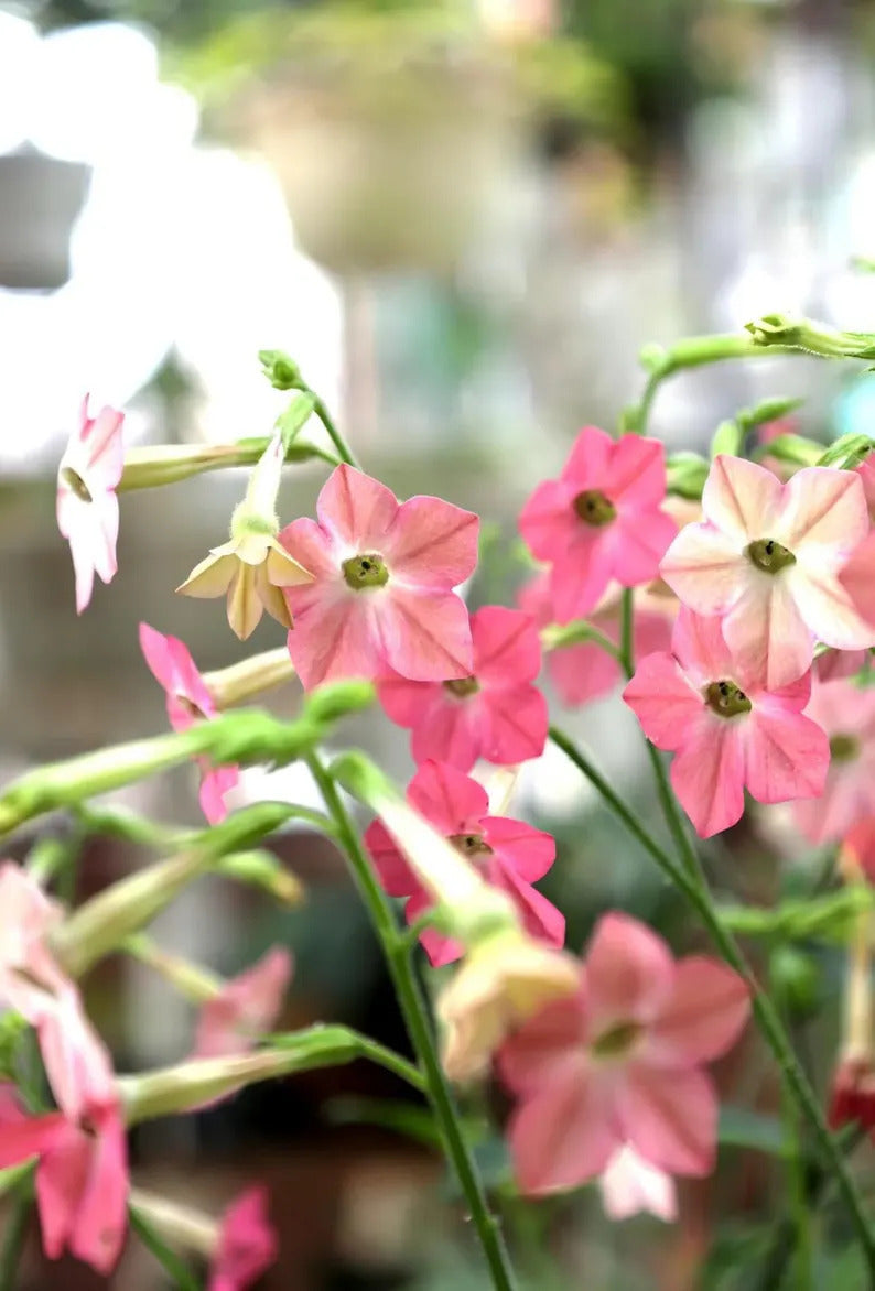 7b26374e-2c3c-4be9-8a0f-fe125797a7a7