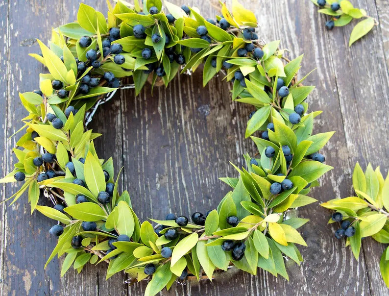 0631fc54-7745-44d7-addf-a2bc82980031