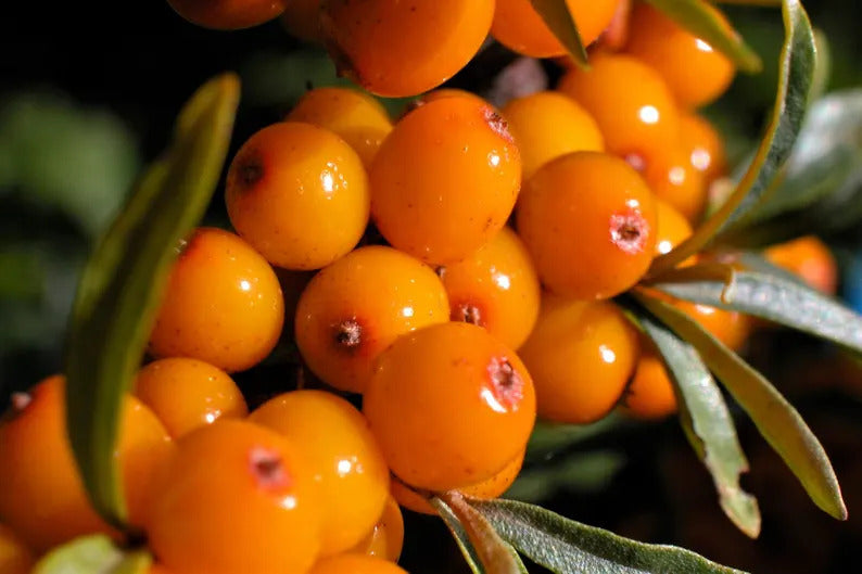 ff83cb19-a88e-42b9-8ad6-b36accf237b6