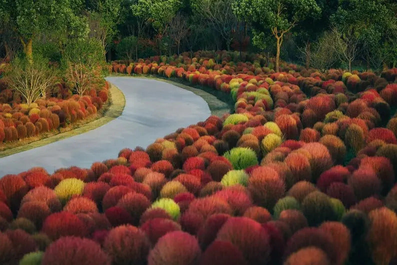 fab90754-85e8-4c16-a1b2-acc1c409c580