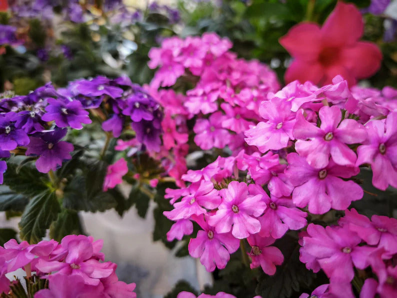 5d3a4994-6224-40fd-858d-7ea56f1dee2e