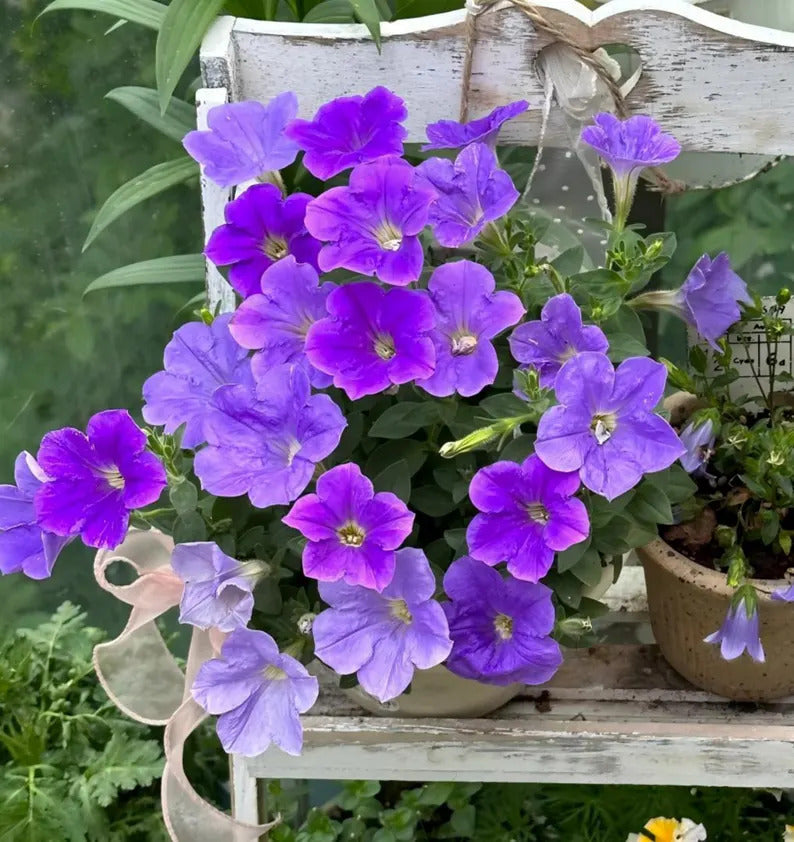 3af203e6-aa6c-4690-a540-f7ad5fc2d777