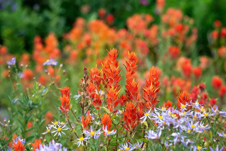 ea38fead-9ff4-4987-a960-7225f411ac28