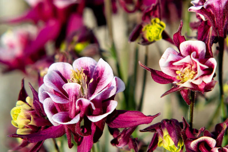 73a1e856-60ef-4923-b4f2-4b73a97d07d8