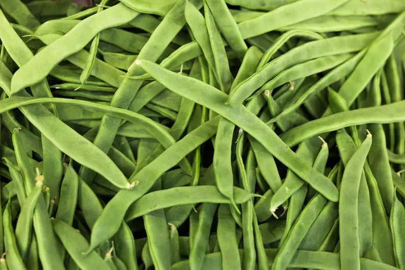 6496a8dc-f5f0-4a4a-96a9-acf412ec41fd