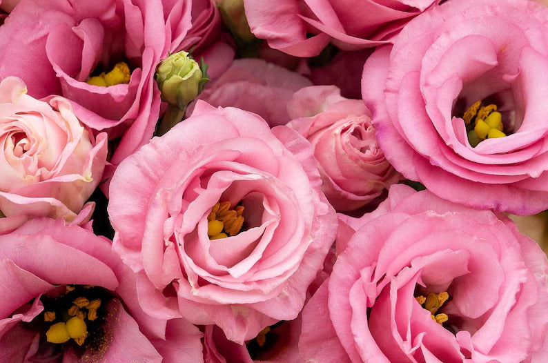 b71c808e-ce25-468e-a129-105bf830e515