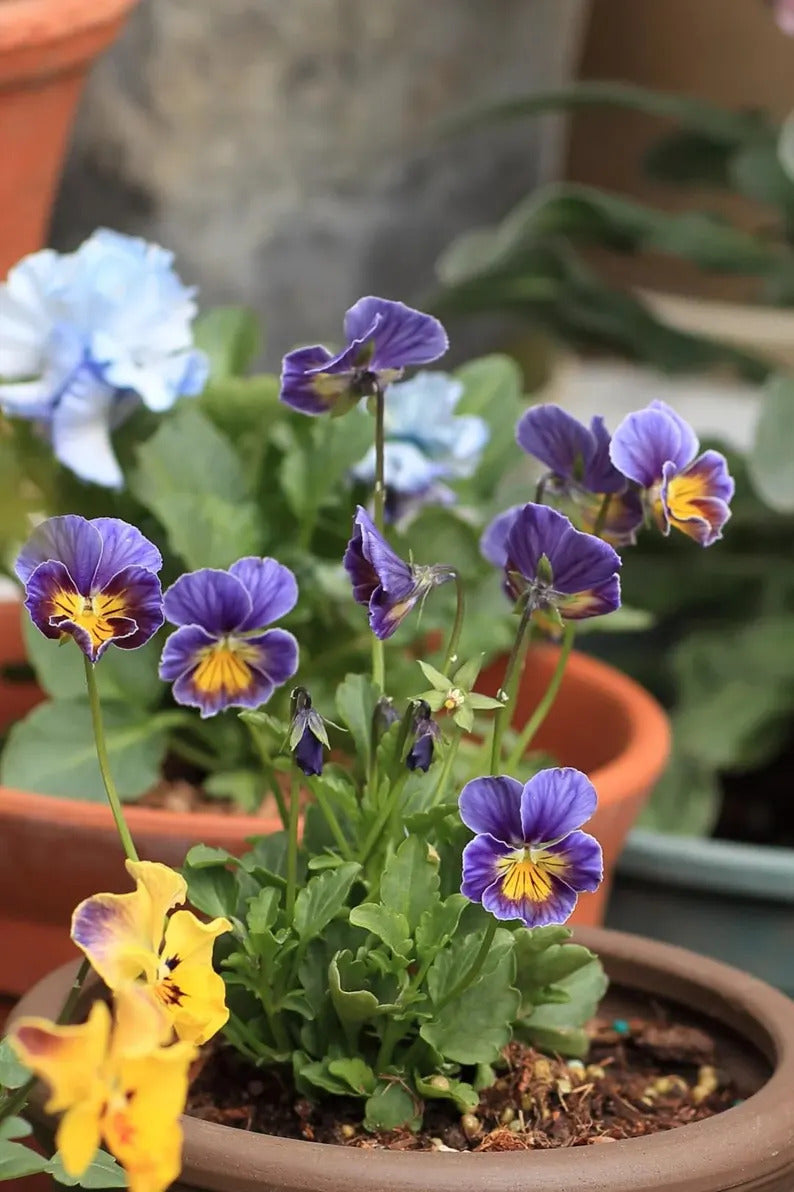 00278889-df27-492d-ba9c-f3d476656a37