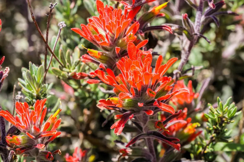 af8046f0-01f8-44fd-a717-60d5ea084705