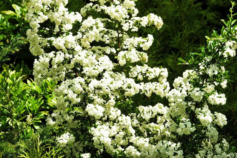 f45dfc62-0daf-4225-817d-02aaf29c85cd