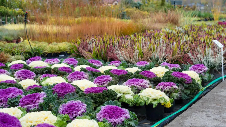 4e6ef3da-0807-4ef5-9fc6-6f640bf4cc94