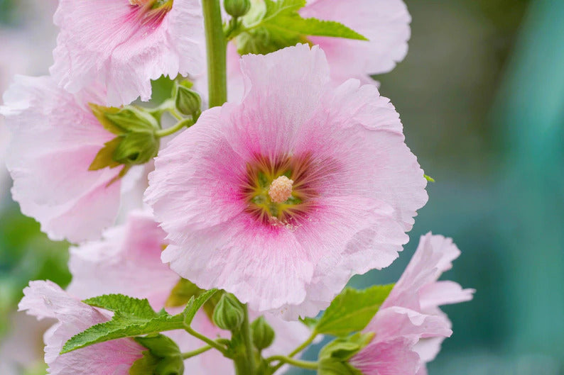 23258f71-bf0c-469c-a31a-adfa273d1a47