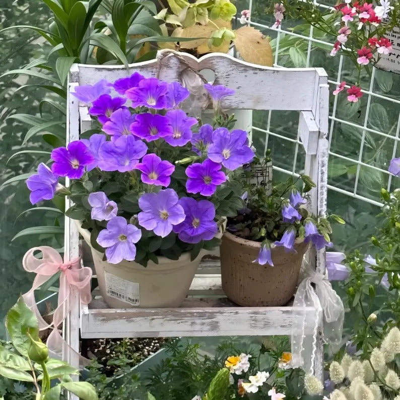 312a81f0-9577-4eba-97eb-e88d06d98044