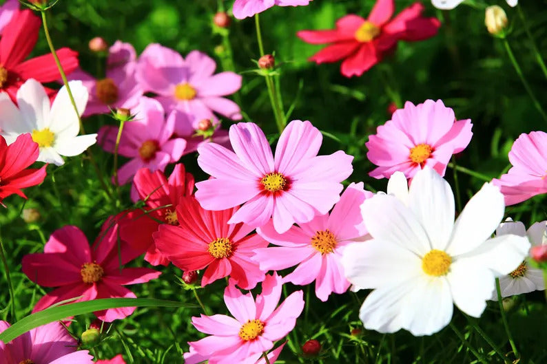 cd73d166-9b2b-408e-ac82-7a311b5d2c94