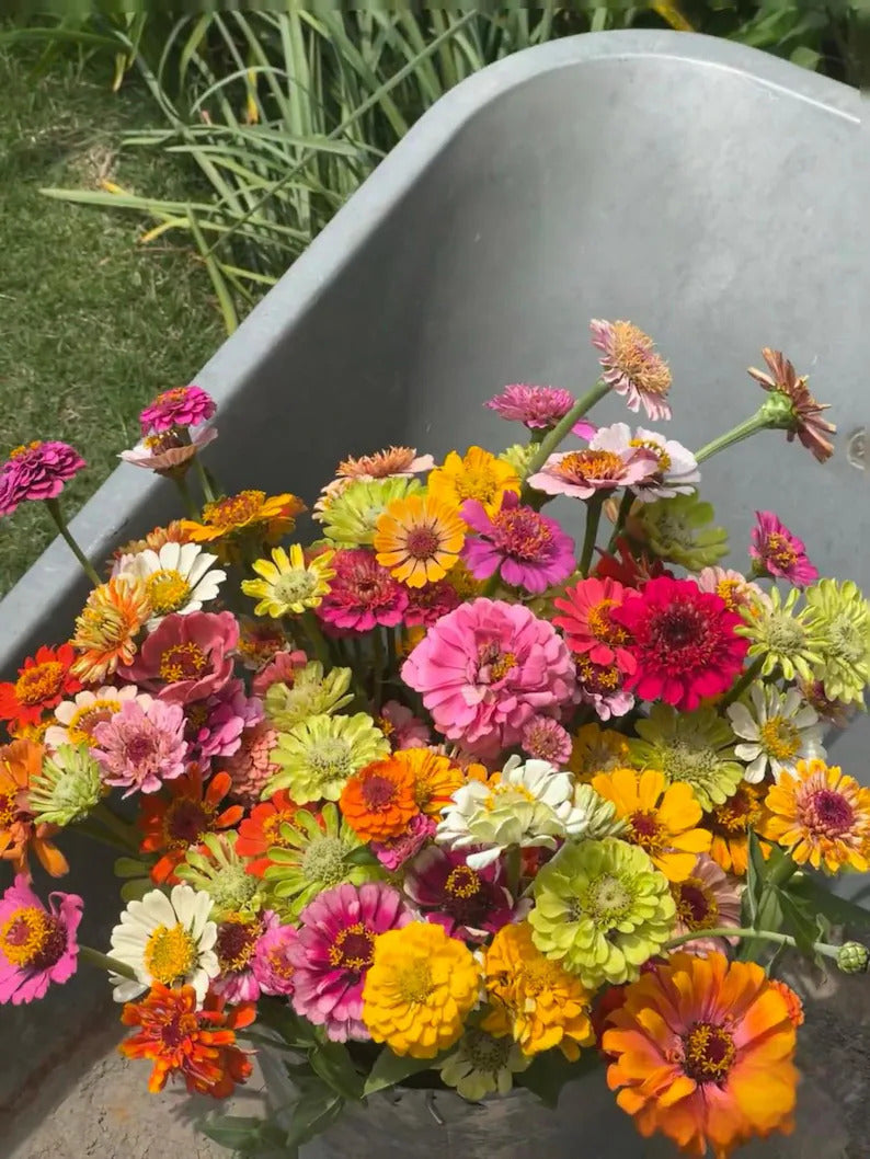 81e111d6-4149-4307-a147-27ac546146d5