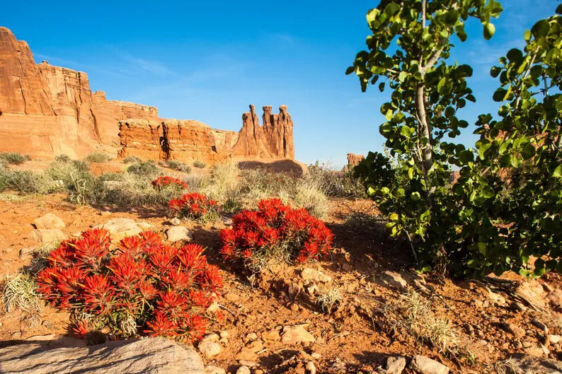 c207d338-2a58-445a-9545-c6ca2323a036