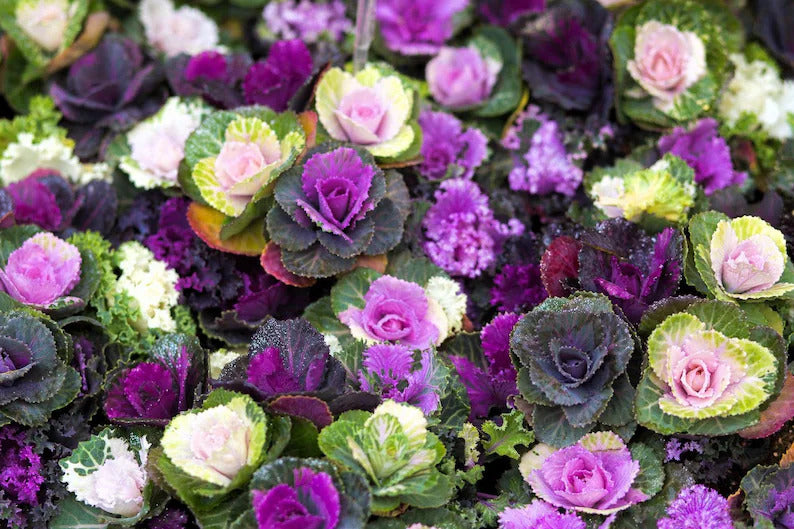 d50c91df-8c7c-4bbf-94b9-9cad249a31ef