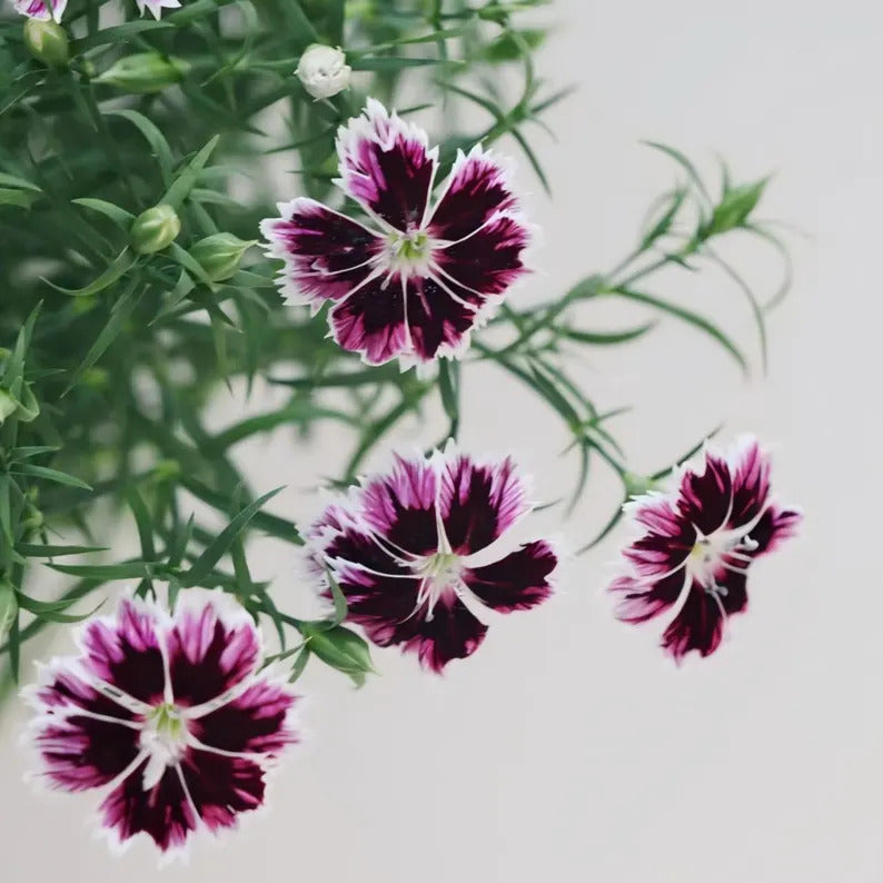 8a3f0b14-d570-416b-8af9-725e56b92105