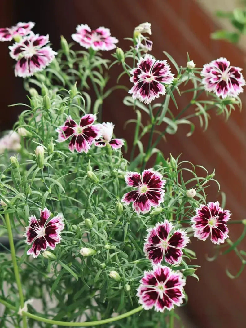 28bf2f4c-fdf7-4f55-819d-eea33e8e072a