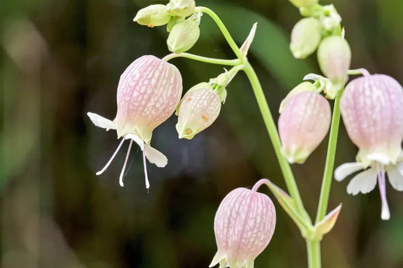 dfec9ab1-d129-4209-8d37-be7d786542b2